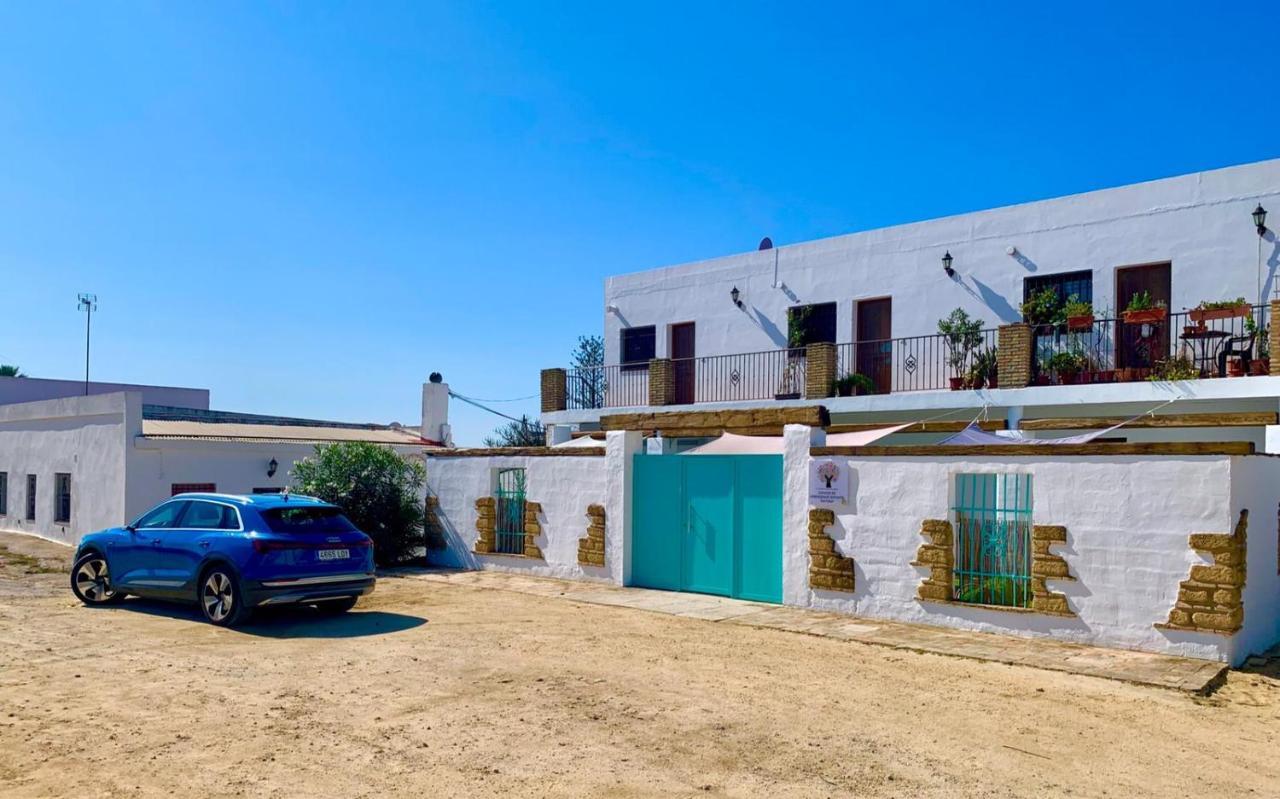 Conil Colorado 1 Rustico Y Economico Leilighet Conil De La Frontera Eksteriør bilde
